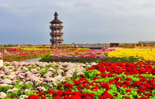 杨友明诗词研究   《西江月·夏日园趣》在写作上有什么特点?