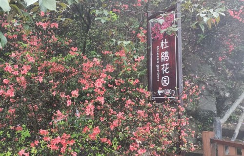 沁园春•端阳怀思