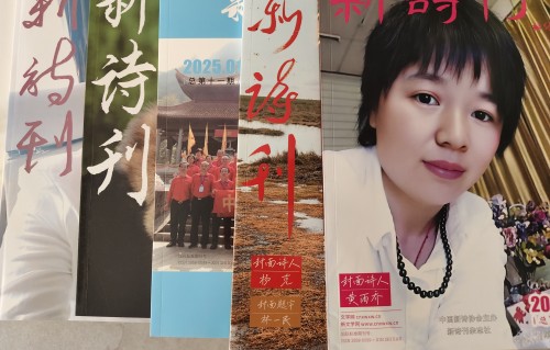 我与新诗刊