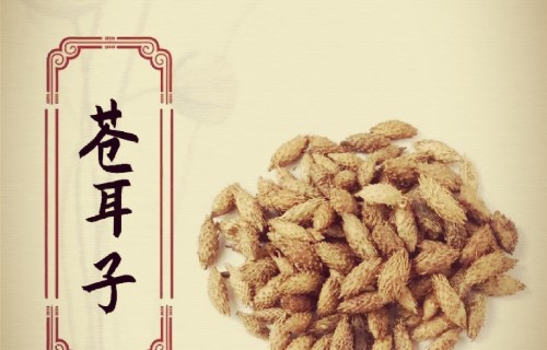 苍耳子（现代诗）
