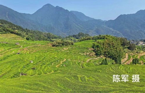 舜风歌正飘过这片梯田