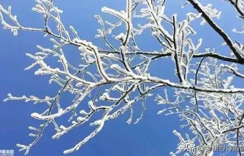 雪过天晴