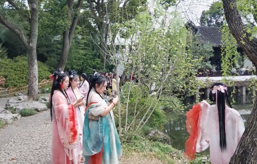 七律•杜鹃花