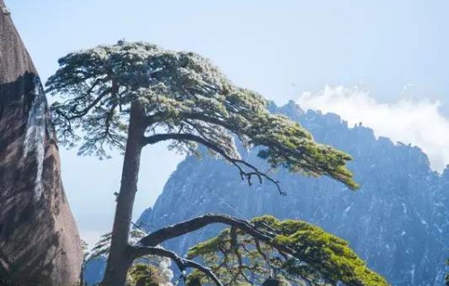 五绝《山海悟》