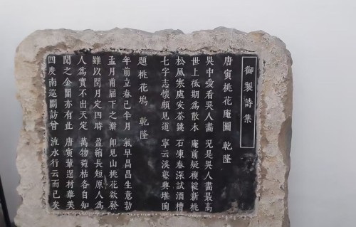诉衷情令·咏荷花