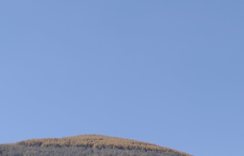 《秋山寒露》