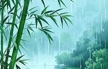 细雨