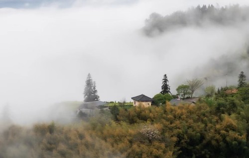 云上人家
