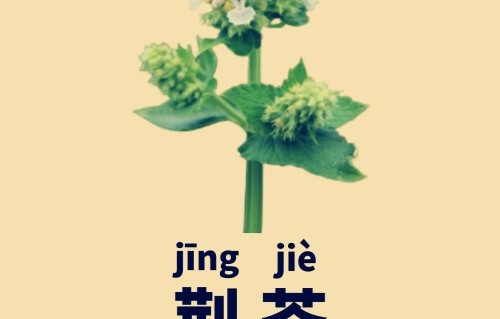 荆芥（现代诗）