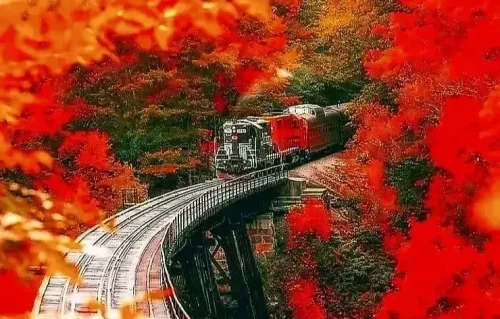 四季