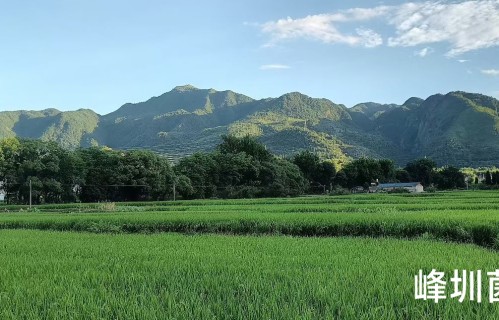 南山下