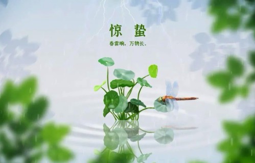 惊蛰春韵（词.曲四首）