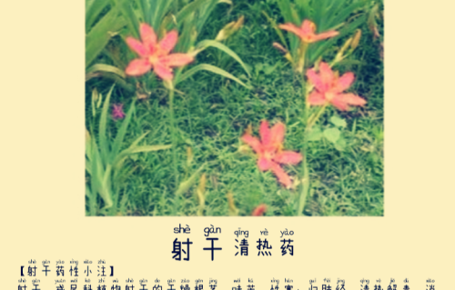 本草风物｜射干（现代诗）