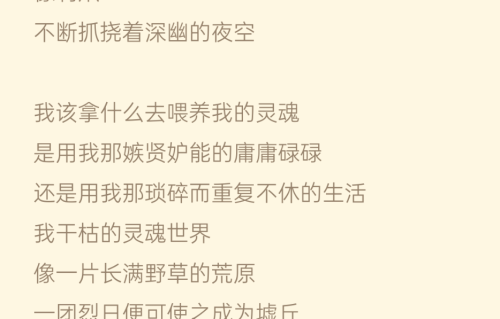 《我该拿什么去喂养我的灵魂》