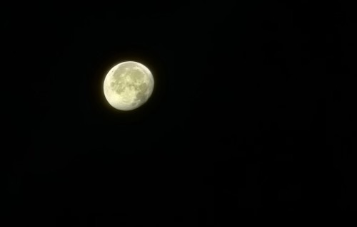 月
