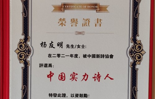 杨友明诗词研究  杨友明诗人简介及获奖情况