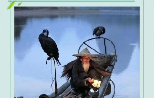 杨友明诗词研究   怎样学习杨友明的诗词风格？