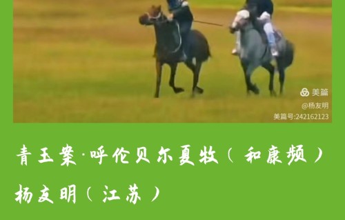 杨友明诗词研究    杨友明的诗词如何体现通俗