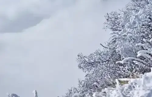 江雪