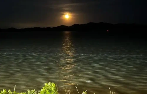 《夏夜偶拾》（新韵）