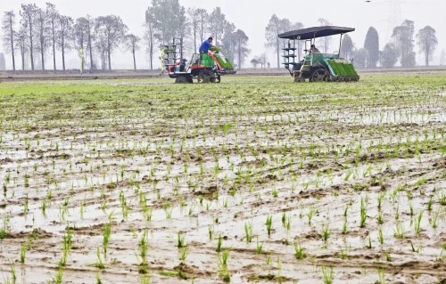 五绝.春耕（四首）