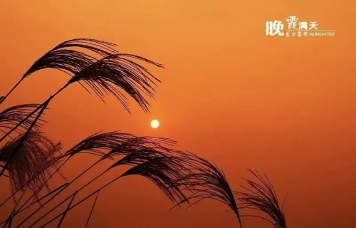 对岸