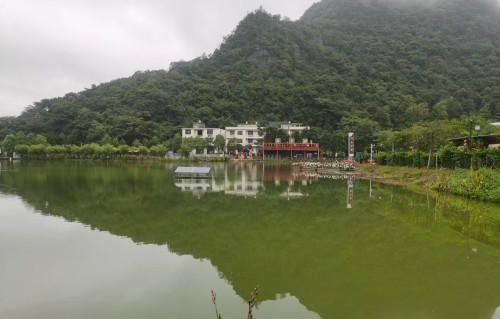 雨水
