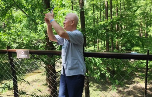 杨友明诗词研究    杨友明有代表性诗词简介
