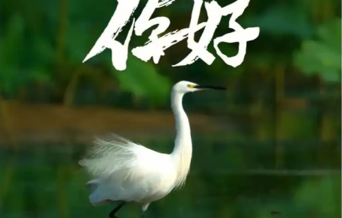 六月，你好