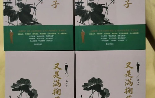 著名作家蔡卫华先生最新力作诗集《又是满掬莲子》出版