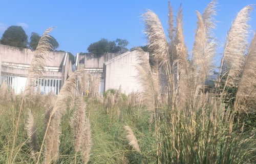 水文公园秋景