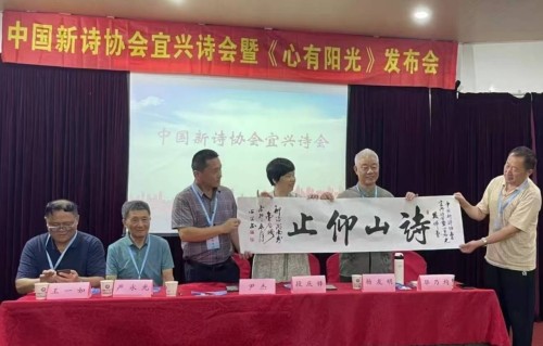 杨友明诗词研究    如何分析杨友明作品中韵律节奏与情感表达的具体关联？