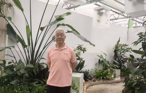 杨友明诗词研究     杨友明在诗词创作中如何把握平仄协调和押韵平衡的？