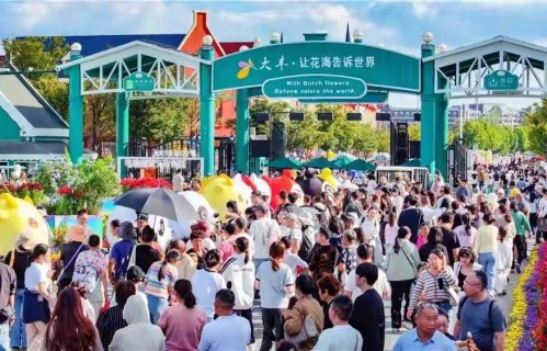 满庭芳·为爱而来