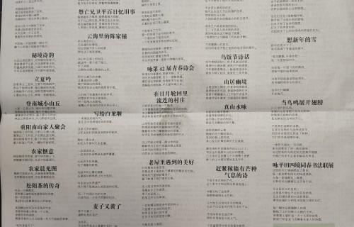 一个版面的春华秋实