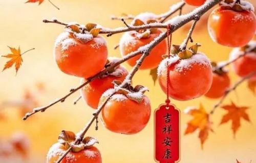 《霜降日逢晴》