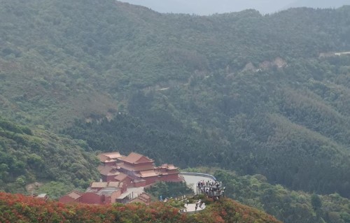 忆江南•春游上海