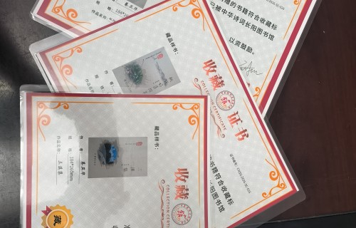 藏不住如歌的岁月