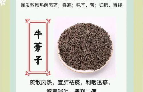 牛蒡子（现代诗）