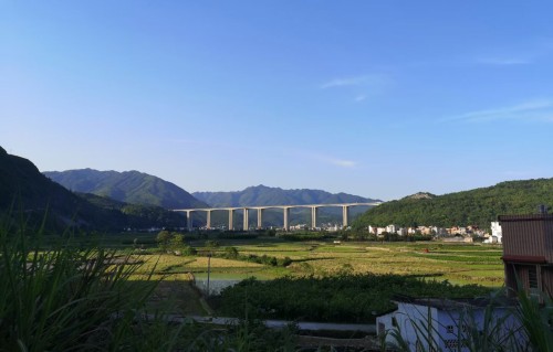 沁园春•乙巳元旦