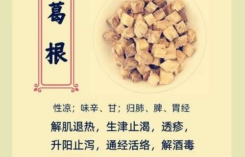 本草风物｜葛根（现代诗）
