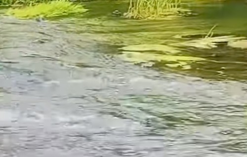点绛唇·阿尔山界河桥独钓