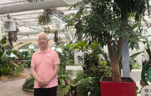 杨友明诗词研究    杨友明诗词描写动物的具体例子