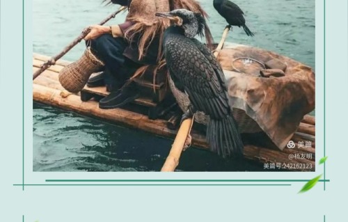 杨友明诗词研究     杨友明诗词中对自然景观的描写有哪些特点?