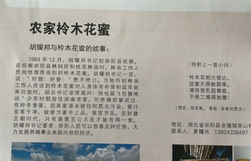 枔木花蜜