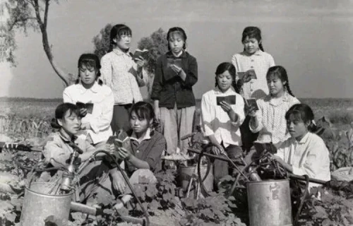 记忆