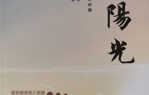 杨友明诗词研究   《心有阳光》杨友明优先阅读篇目