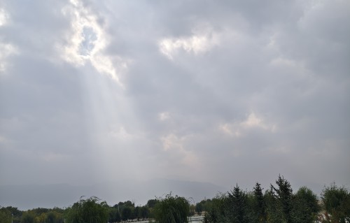 七律.《秋原金雨》