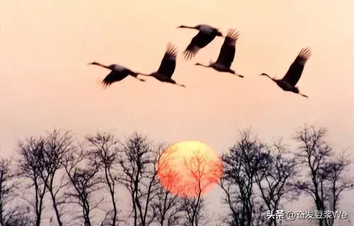 山村赏月