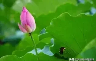 雨过天晴